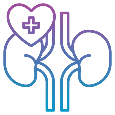 Nutrientes que participam da função renal saudável