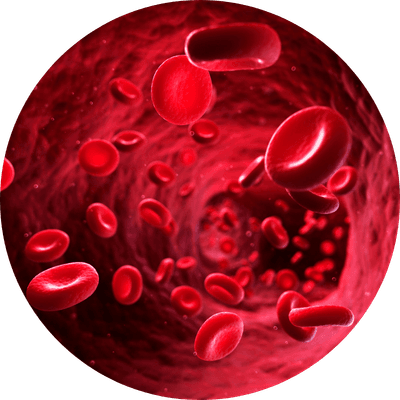 Passo 2 do tratamento com GlycenyX